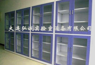 丹东药品试剂柜样式
